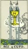 tarot-gevoelsleven