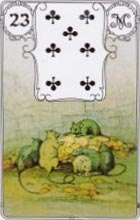 muizen